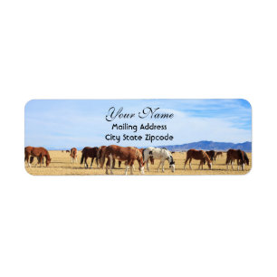 Adresse de retour des chevaux Mustang