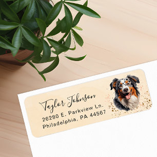 Adresse de retour du chien berger australien