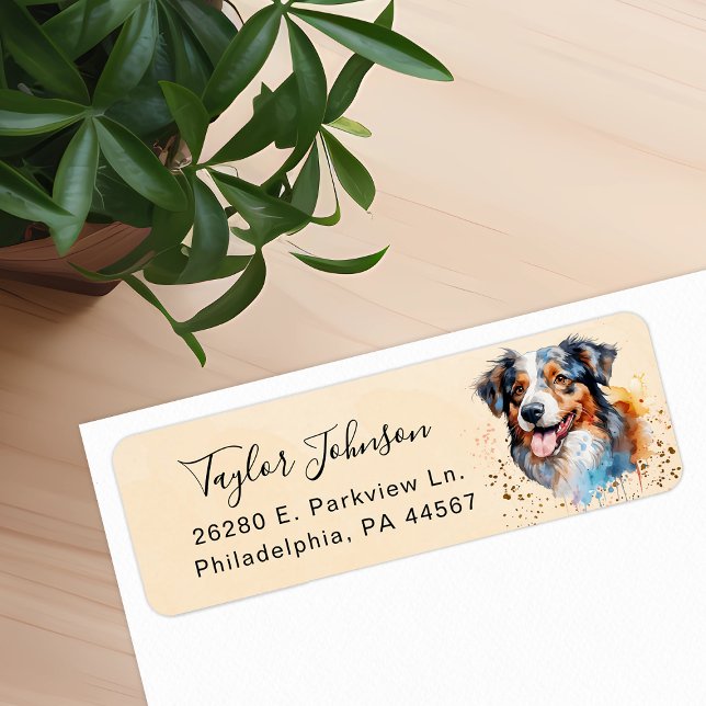 Adresse de retour du chien berger australien (Créateur téléchargé)