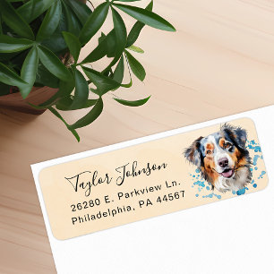 Adresse de retour du chien berger australien