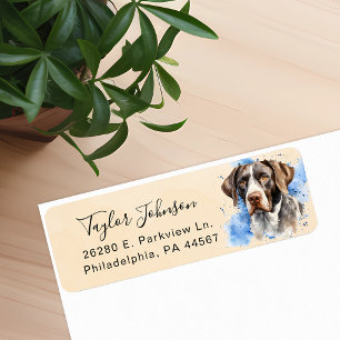 Adresse de retour du chien pointer allemand à poil