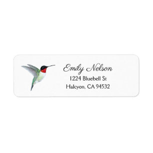 Adresse de retour du colibri à gorge rubis