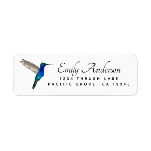 Adresse de retour du colibri à ventre saphir