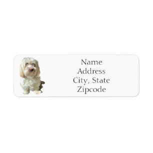 Adresse de retour Label Havanese Dog