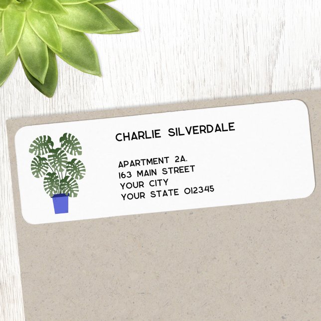 Adresse de retour Monstera (Créateur téléchargé)
