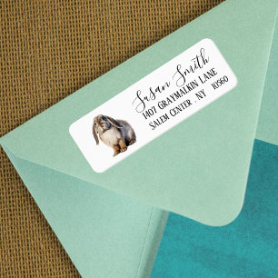Adresse de script de Bunny Lop