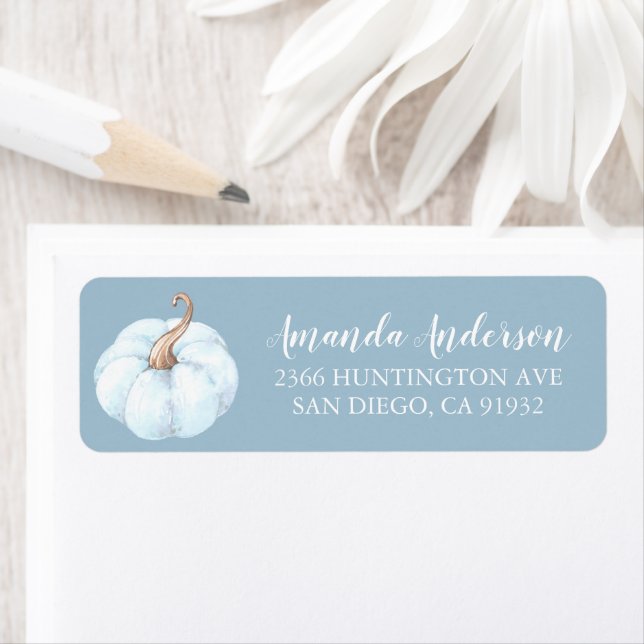 Adresse du Baby shower Citrouille bleu (En situation)