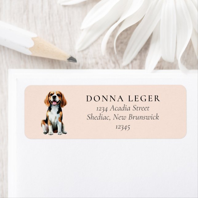 Adresse du chien beagle (En situation)