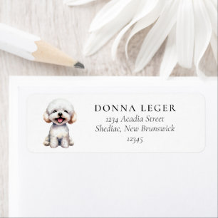 Adresse du chien de Bichon Frise