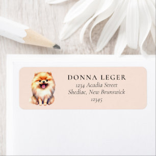 Adresse du chien de Poméranie
