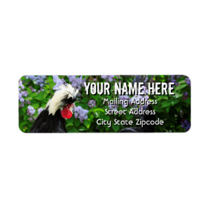 Adresse du jardin de printemps polonais Rooster