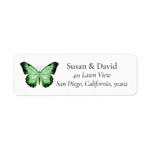Adresse du papillon vert