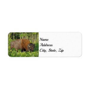 Adresse du parc national Yellowstone