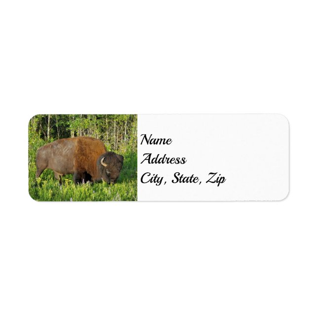 Adresse du parc national Yellowstone (Devant)