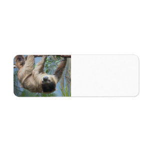 Adresse personnalisable Lables de paresse