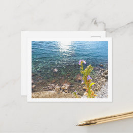 Adriatic Sea with Bellflower in summer Montenegro Postcard