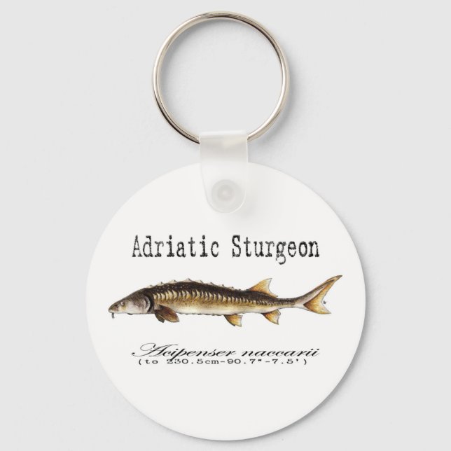 Adriatic Sturgeon Item Keychain (Front)