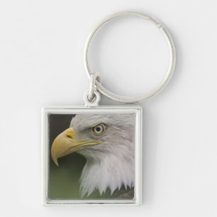 Adult Bald Eagle Portrait, Haliaeetus Keychain