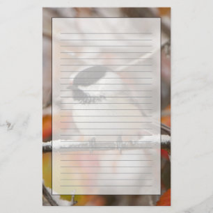 Adult Black-capped Chickadee in Snow Stationery