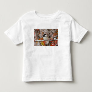 Adult Black-capped Chickadee in Snow Toddler T-shirt
