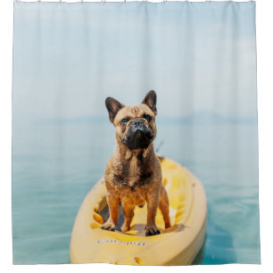 Adult brown French bulldog standing on kayak