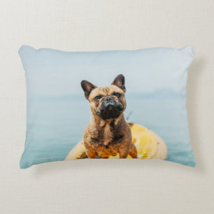 Adult brown French bulldog standing on kayak Accent Pillow