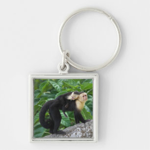 Adult Capuchin Monkey Carrying Baby On Its Back Keychain