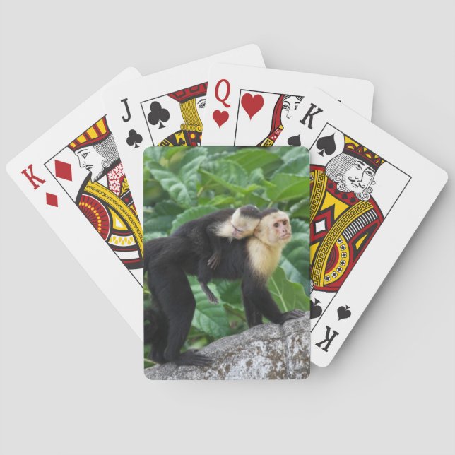 Adult Capuchin Monkey Carrying Baby On Its Back Playing Cards (Back)