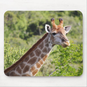 Adult Giraffe Face and Neck Mouse Pad