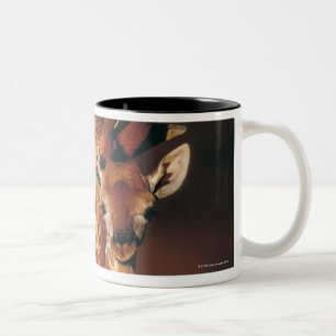 Adult Giraffe with calf (Giraffa camelopardalis) Two-Tone Coffee Mug