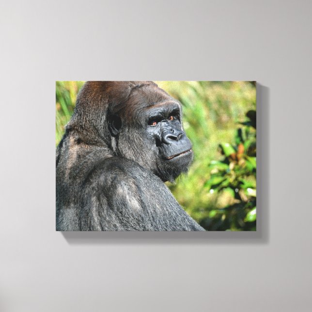Adult Gorilla Canvas Print (Front)