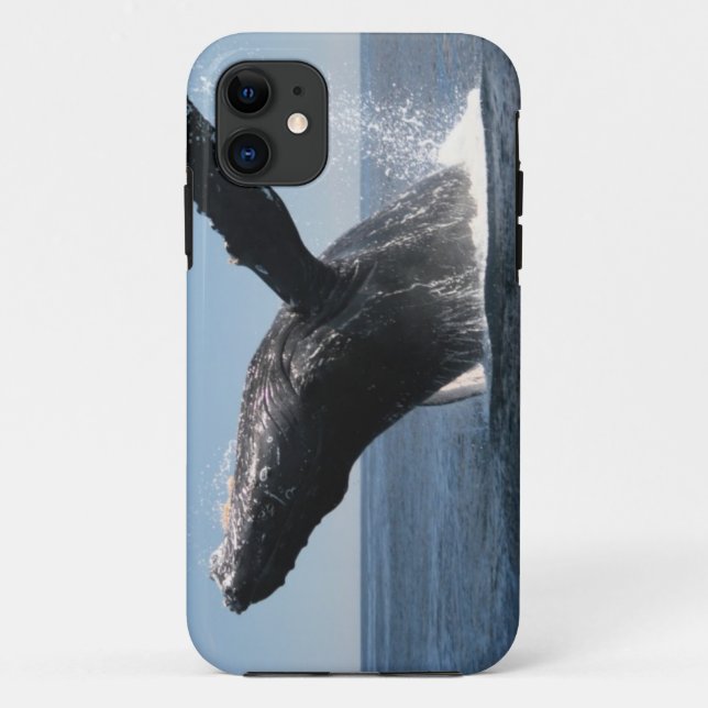 Adult Humpback Whale Breaching Case-Mate iPhone Case (Back)