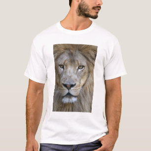 Adult male lion at the Sacramento Zoo, CA T-Shirt