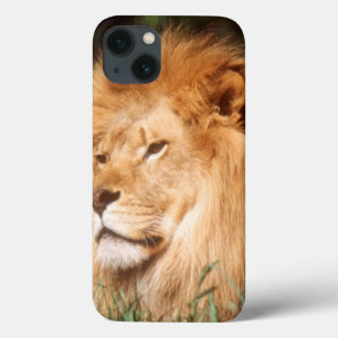 Adult male Lion iPhone 13 Case