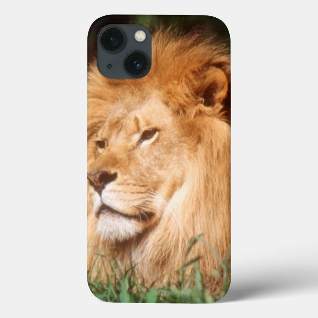Adult male Lion Case-Mate iPhone Case (Back)