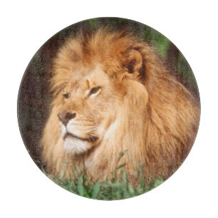 Adult male Lion Cutting Board