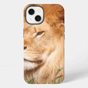 Adult male Lion iPhone 13 Case