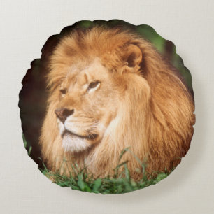 Adult male Lion Round Pillow