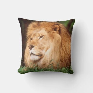 Adult male Lion Throw Pillow