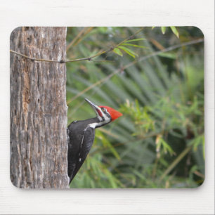 Adult Male Pileated Woodpecker Bird Profile Photo Mouse Pad
