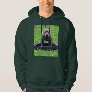 Adult Male Staffordshire Bull Terrier, Hoodie