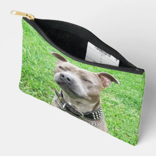 Adult Male Staffordshire Bull Terrier Sitting, Accessory Pouch