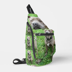 Adult Male Staffordshire Bull Terrier Sitting, Sling Bag