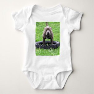 Adult Male Staffordshire Terrier Ready To Play, Baby Bodysuit