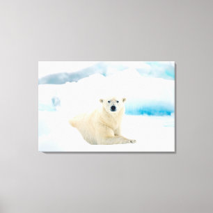 Adult polar bear large boar on the summer ice canvas print
