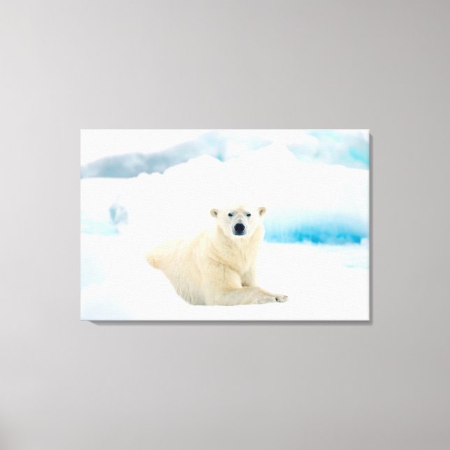 Adult polar bear large boar on the summer ice canvas print (Front)