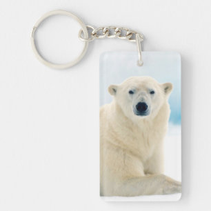 Adult polar bear large boar on the summer ice keychain