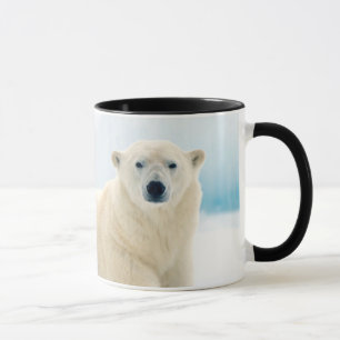 Adult polar bear large boar on the summer ice mug