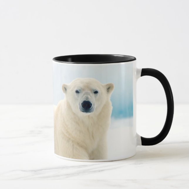 Adult polar bear large boar on the summer ice mug (Right)