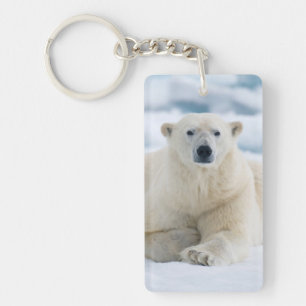 Adult polar bear on the summer pack ice keychain